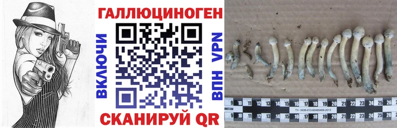 Псилоцибиновые грибы GOLDEN TEACHER  Лиски 